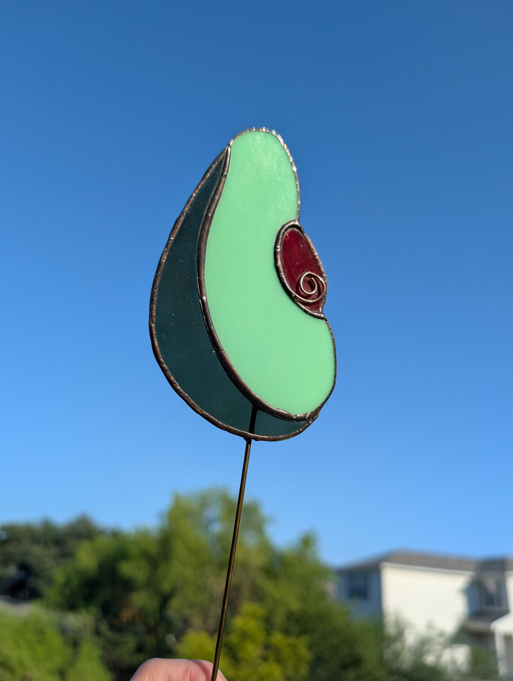 Avocado Garden Stake