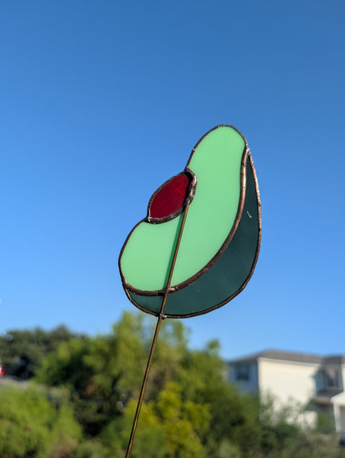 Avocado Garden Stake