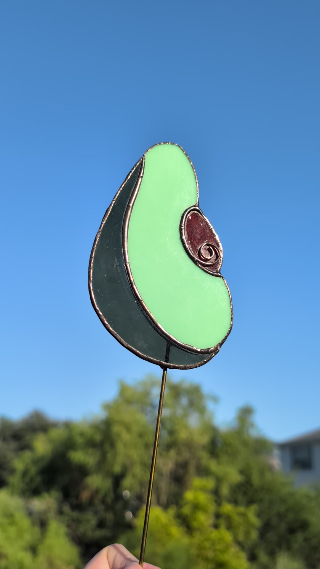 Avocado Garden Stake
